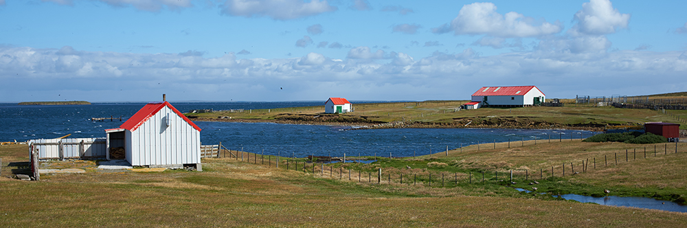 BLEAKER ISLAND 52°12S, 58°51'W East Falkland